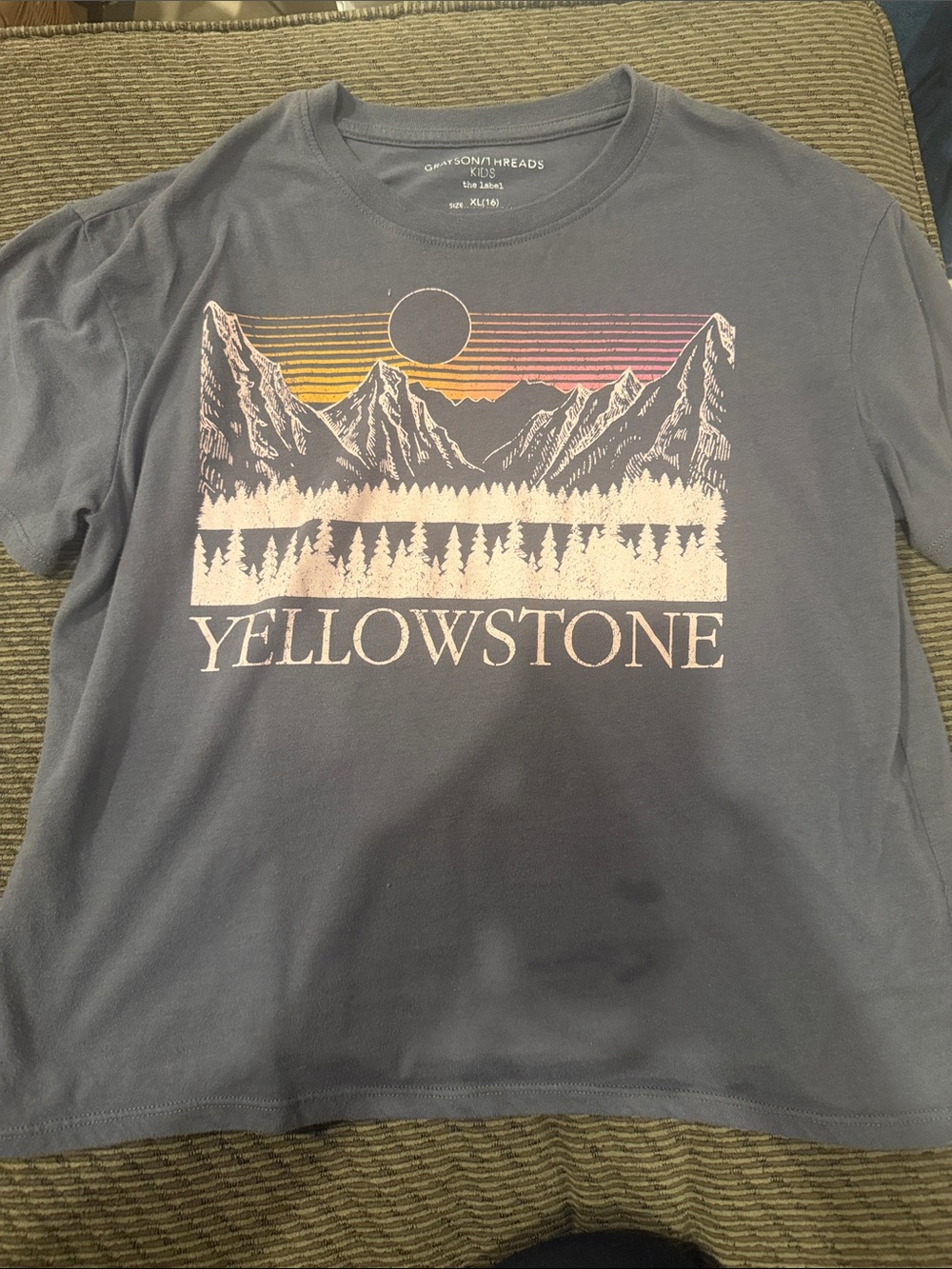 Grayson Threads Gray Yellowstone Graphic Tee with Sunset Stripes